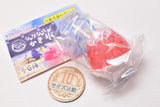 Sharishari shaved ice [6.Condensed milk strawberry]