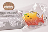 Leonard Shark Acrylic Ball Chain [3.Cassis Orange]