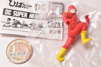 Hipparun DC SUPER HEROES [5.Flash]