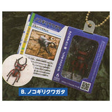 Insect Encyclopedia Mascot (Stag Beetle Edition) [2.Nokogiri Kuwagata]