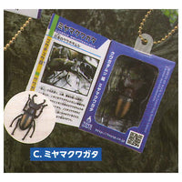 Insect Encyclopedia Mascot (Stag Beetle Edition) [3.Miyama Stag Beetle]