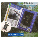 Insect Encyclopedia Mascot (Stag Beetle Edition) [4.Hirata Stag Beetle]