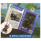 Insect Encyclopedia Mascot (Stag Beetle Edition) [5.Girafa Nokogiri Kuwagata]