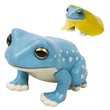 tree frog [1.Blue green]