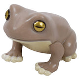 tree frog [3.Gray brown]