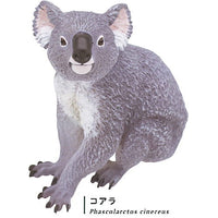 Nature Techni colour 400 Australia [3.Koala]