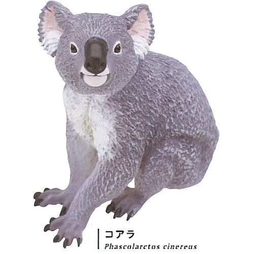 Nature Techni colour 400 Australia [3.Koala]