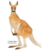 Nature Techni colour 400 Australia [4.Red kangaroo]