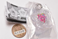 Delicious Party Pretty Cure Narikiri PreCure Part.3 [4.Decora charm (Cure Precious)]