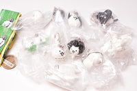 Nyanko Daisensou Swing Special2 [All 10 type set (Full Complete)]