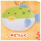 Tsuburana hitomi no Aquarium Petit C Suisou [4.Green spotted puffer]