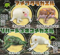 1/1 Breviceps Adpersus & Waxy Monkey Tree Frog [All 4 type set(Full Complete)]