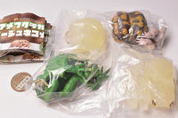 1/1 Breviceps Adpersus & Waxy Monkey Tree Frog [All 4 type set(Full Complete)]