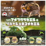 1/1 Breviceps Adpersus & Waxy Monkey Tree Frog [All 4 type set(Full Complete)]