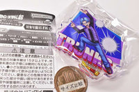 Dragon Ball Super Super Hero Acrylic Charm Part.2 [5.Trunks]