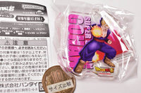 Dragon Ball Super Super Hero Acrylic Charm Part.2 [8.Super Saiyan Gohan]