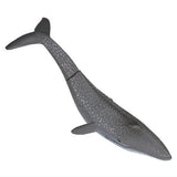 Whales and sea creatures [1.Blue whale]