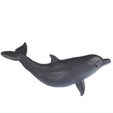 Whales and sea creatures [5.Bottlenose dolphin]