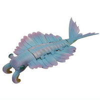 Ancient sea Ancient marine record [2.Anomalocaris]