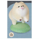 Animal attraction Pomesanpo Part.2 [3.Kakeyottekuru Pomeranian white]