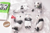 SeiSei Panda Posing Figure Collection [All 5 type set(Full Complete)]