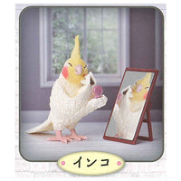 Animal attractions Looking through the mirror? Toshio Asakuma Makeup Animals [5.Parakeet]