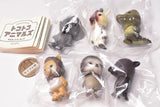 Tokotoko animals Mascot Figure [All 6 type set (Full Complete)]