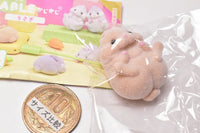 Cable Kajikaji Rabbit [2.Aomuke Orange]