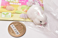Cable Kajikaji Rabbit [6.Nesoberi White]