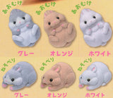 Cable Kajikaji Rabbit [All 6 type set (Full Complete)]
