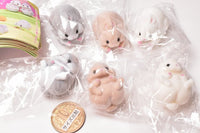 Cable Kajikaji Rabbit [All 6 type set (Full Complete)]