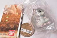 Machiboke Part.8 [1.hamster]