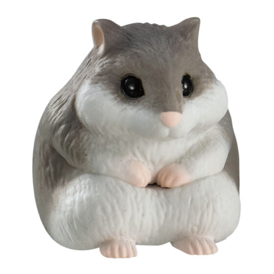Machiboke Part.8 [1.hamster]