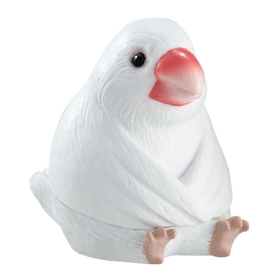 Machiboke Part.8 [2.Java sparrow]
