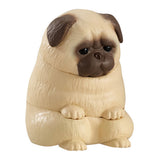 Machiboke Part.8 [3.Pug]