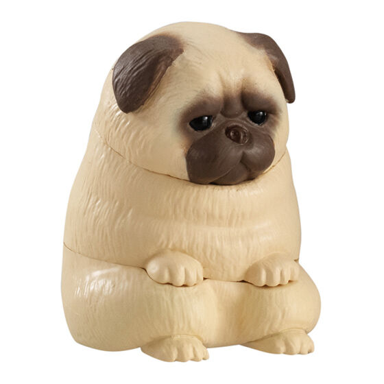 Machiboke Part.8 [3.Pug]