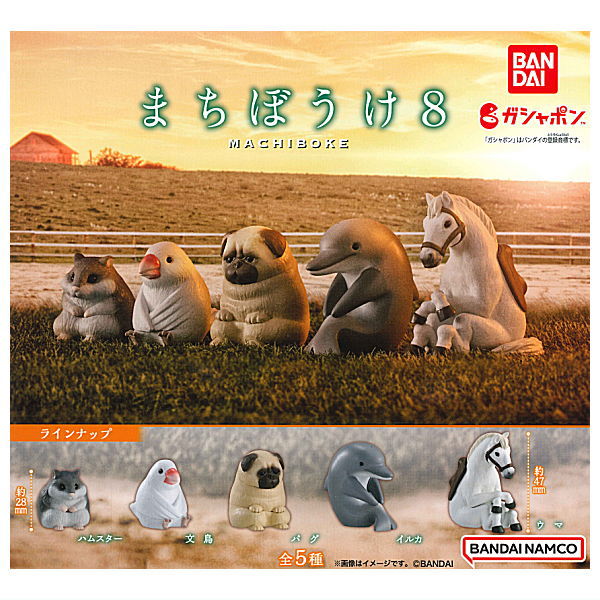 Machiboke Part.8 [All 5 type set (Full Complete)]