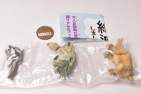 Capsule Q Museum Wakeatte zetsumetsushimashita 3D picture book [1.Megaterium]