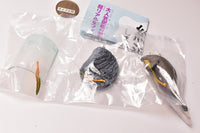Capsule Q Museum Wakeatte zetsumetsushimashita 3D picture book [2.Steller's sea cow]
