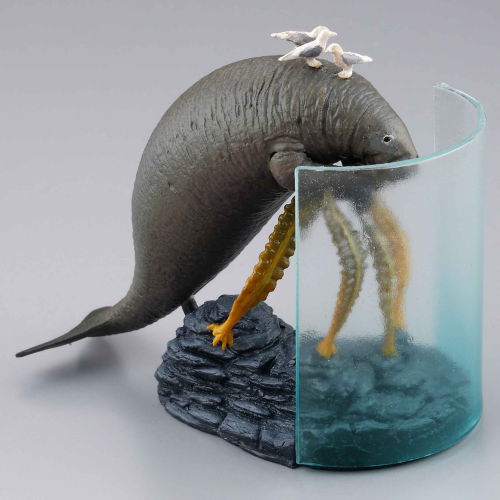 Capsule Q Museum Wakeatte zetsumetsushimashita 3D picture book [2.Steller's sea cow]