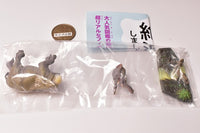 Capsule Q Museum Wakeatte zetsumetsushimashita 3D picture book [3.Platybelodon]