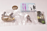 Capsule Q Museum Wakeatte zetsumetsushimashita 3D picture book [3.Platybelodon]
