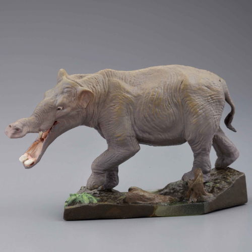Capsule Q Museum Wakeatte zetsumetsushimashita 3D picture book [3.Platybelodon]