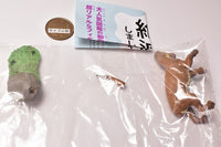 Capsule Q Museum Wakeatte zetsumetsushimashita 3D picture book [4.Thylacosmilus]