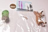 Capsule Q Museum Wakeatte zetsumetsushimashita 3D picture book [4.Thylacosmilus]