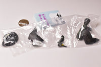 Capsule Q Museum Wakeatte zetsumetsushimashita 3D picture book [5.Spectacled cormorant]