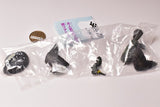 Capsule Q Museum Wakeatte zetsumetsushimashita 3D picture book [5.Spectacled cormorant]