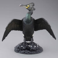 Capsule Q Museum Wakeatte zetsumetsushimashita 3D picture book [5.Spectacled cormorant]
