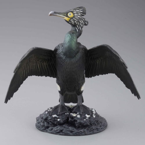 Capsule Q Museum Wakeatte zetsumetsushimashita 3D picture book [5.Spectacled cormorant]