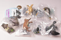 Capsule Q Museum Wakeatte zetsumetsushimashita 3D picture book [All 5 type set(Full Complete)]